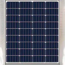 TOPRAY  Aurinkopaneeli Poly 55W